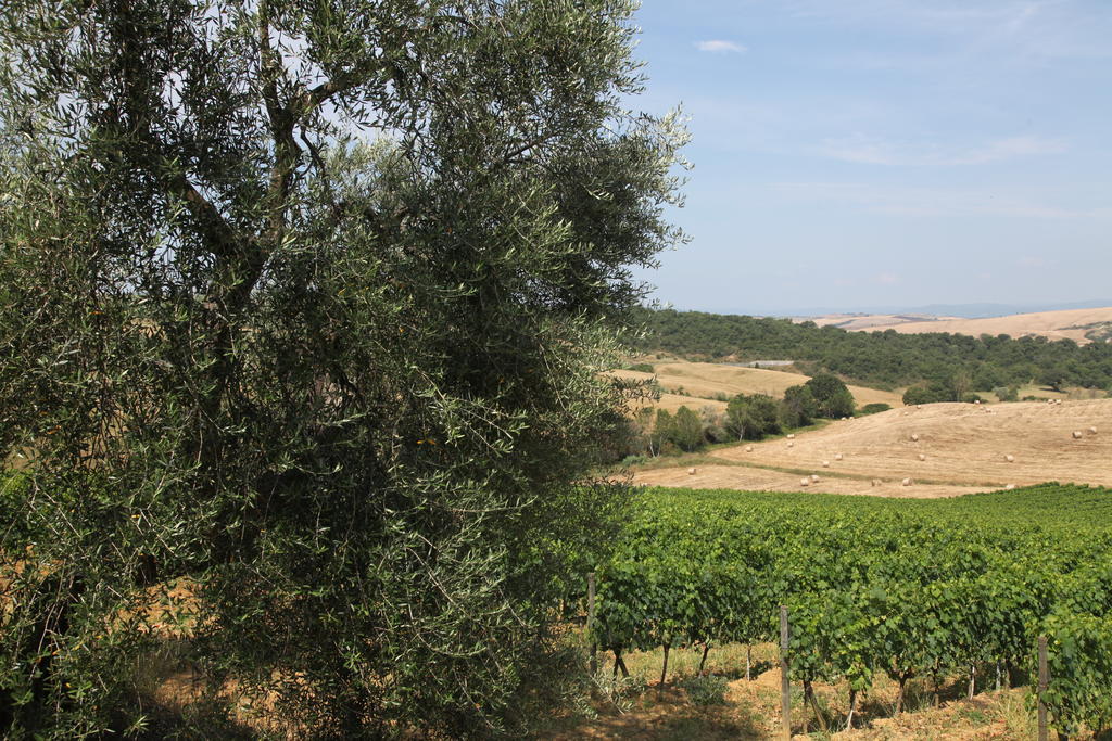 Agriturismo Bagnaia San Quirico d'Orcia Exterior photo